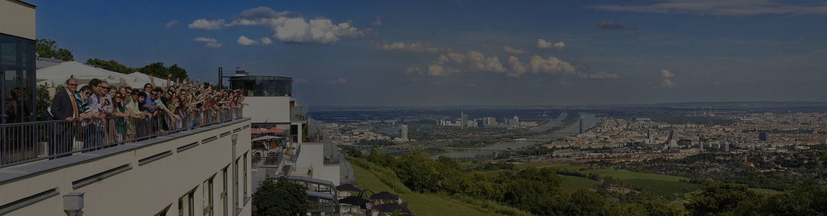 Університет Модуль у м. Відень